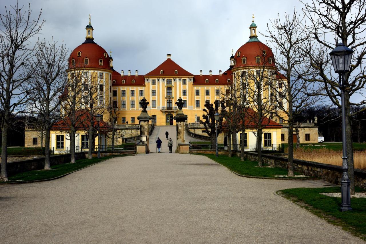 Ferienwohnung Elbe เดรสเดน ภายนอก รูปภาพ